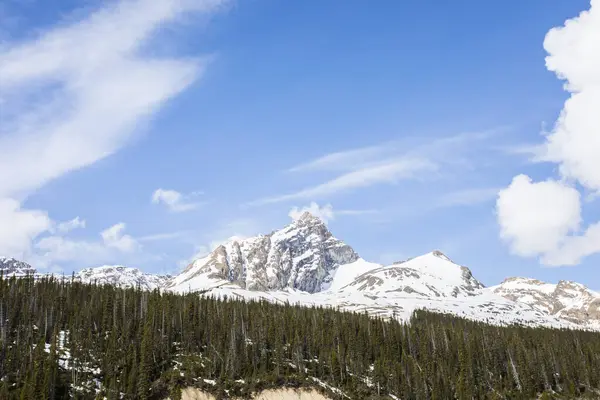 Stock image Summer landscape in Jasper National Park in Canada