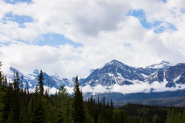 Paesaggio Estivo Nel Jasper National Park Canada — Foto Stock