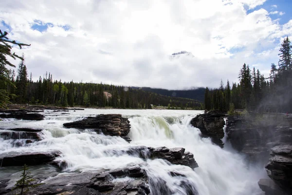 Athabasca Şelalesi 'nde yaz, Jasper Ulusal Parkı, Kanada.