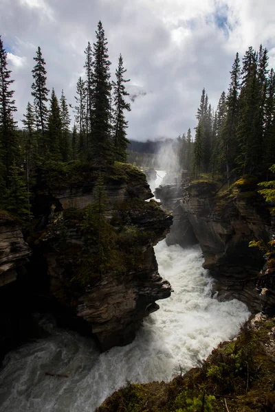 カナダのジャスパー国立公園のアサバスカ滝の夏 — ストック写真