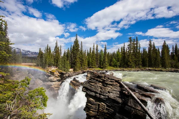 Summer in Athabasca Falls, Jasper National Park, in Canada.