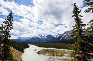 Summer landscape in Jasper National Park in Canada