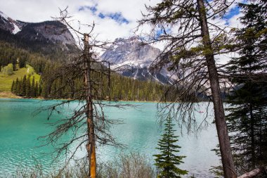 Summer landscape in Emerald lake, Yoho National Park in Canada.