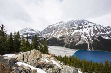 Summer landscape in Peyto lake, Banff National Park in Canada