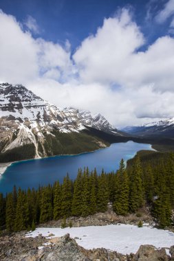 Summer landscape in Peyto lake, Banff National Park in Canada