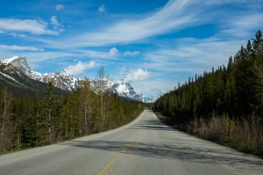 Summer landscape in Jasper National Park in Canada