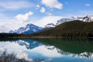 Summer landscape in Jasper National Park in Canada