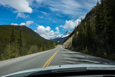 Summer landscape in Jasper National Park in Canada