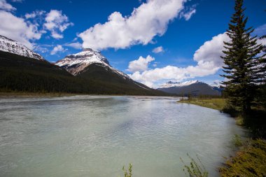 Summer landscape in Jasper National Park in Canada