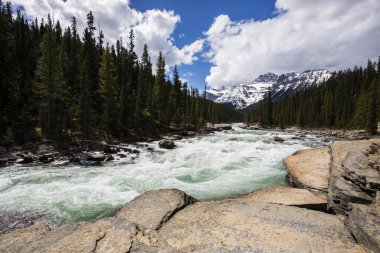 Summer landscape in Mistaya Canyon, Banff National Park in Canada