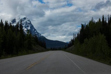 Summer landscape in Jasper National Park in Canada