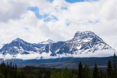 Summer landscape in Jasper National Park in Canada