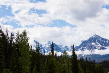 Summer landscape in Jasper National Park in Canada