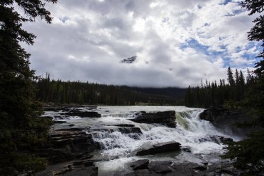 Summer in Athabasca Falls, Jasper National Park, in Canada.