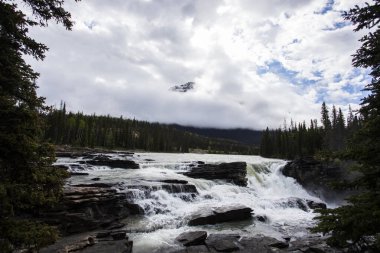 Summer in Athabasca Falls, Jasper National Park, in Canada.