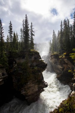 Summer in Athabasca Falls, Jasper National Park, in Canada.