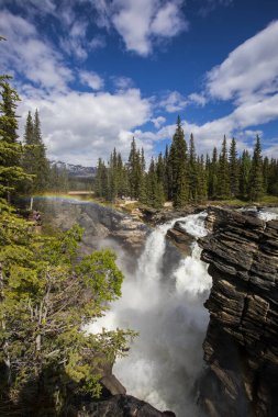 Summer in Athabasca Falls, Jasper National Park, in Canada.