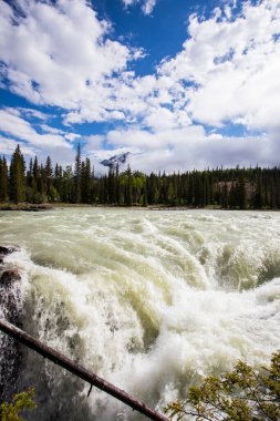 Summer in Athabasca Falls, Jasper National Park, in Canada.