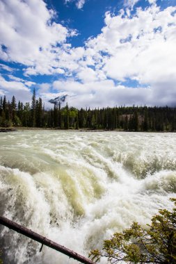 Summer in Athabasca Falls, Jasper National Park, in Canada.