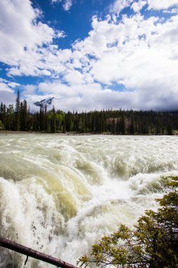 Summer in Athabasca Falls, Jasper National Park, in Canada.