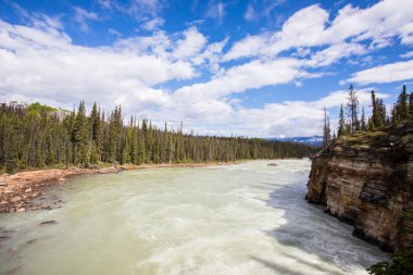 Summer landscape in Jasper National Park in Canada