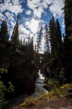 Summer in Athabasca Falls, Jasper National Park, in Canada.