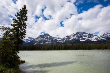 Summer landscape in Jasper National Park in Canada