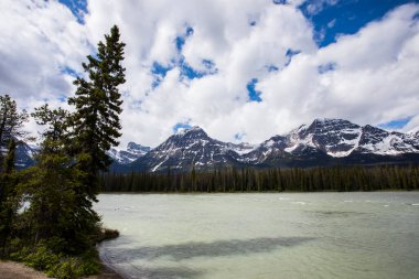 Kanada 'daki Jasper Ulusal Parkı' nda yaz manzarası