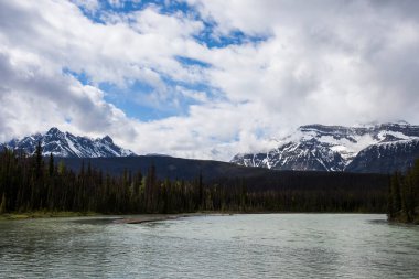 Summer landscape in Jasper National Park in Canada