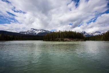 Summer landscape in Jasper National Park in Canada