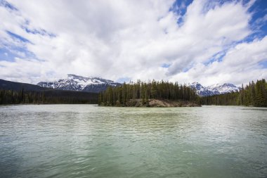 Summer landscape in Jasper National Park in Canada