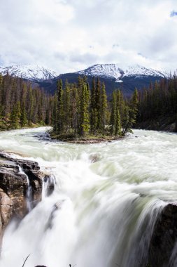 Summer in Sunwapta Falls, Jasper National Park in Canada