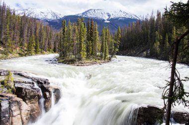 Yaz Sunwapta Şelalesi 'nde, Jasper Ulusal Parkı Kanada' da