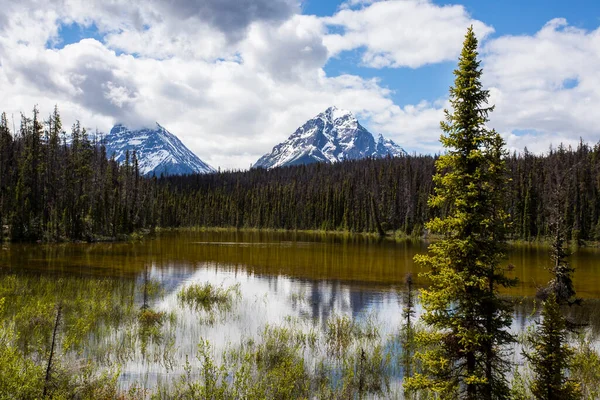 Summer Landscape Jasper National Park Canada — Stock Photo, Image