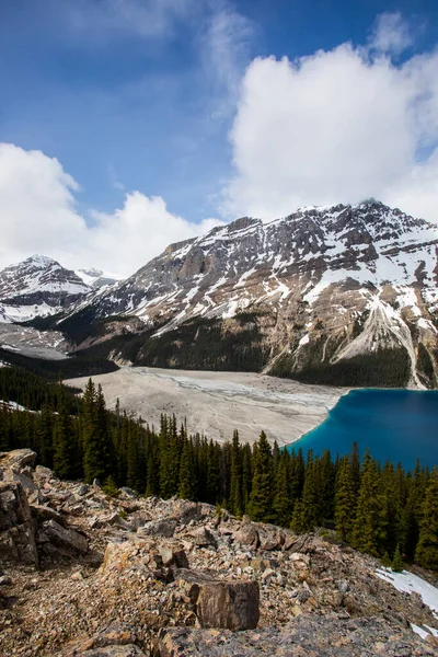 Summer Landscape Peyto Lake Banff National Park Canada — Stockfoto