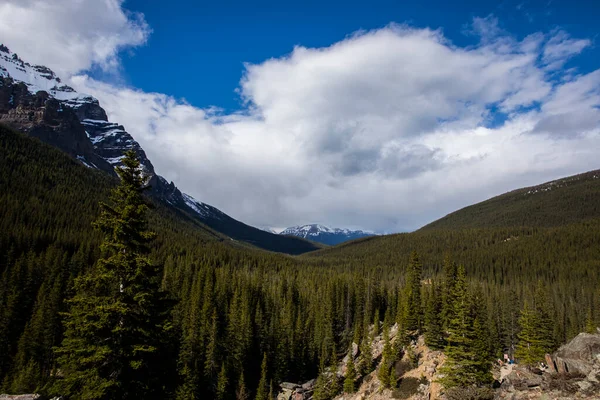 Paesaggio Estivo Nel Lago Della Morena Banff National Park Canada — Foto Stock