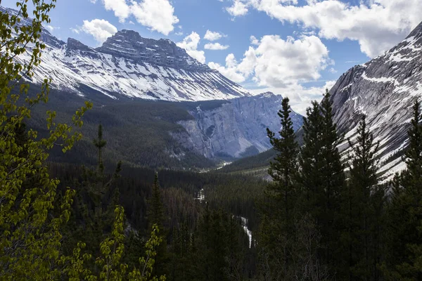 Paesaggio Estivo Nel Jasper National Park Canada — Foto Stock