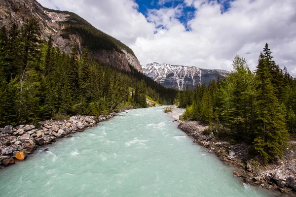 stock image Summer in Natural Bridge, Yoho National Park in Canada