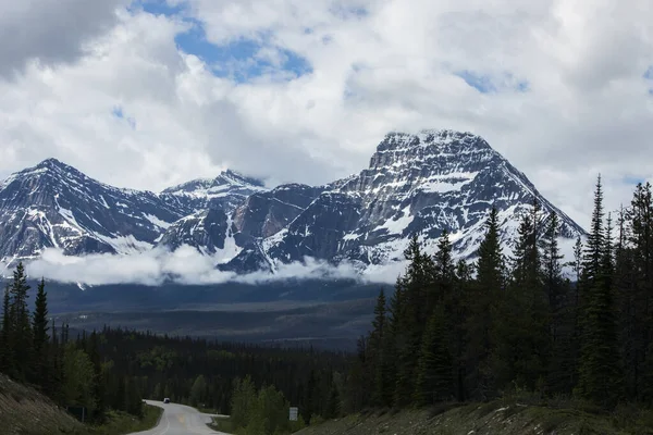 Summer Landscape Jasper National Park Canada — Stockfoto