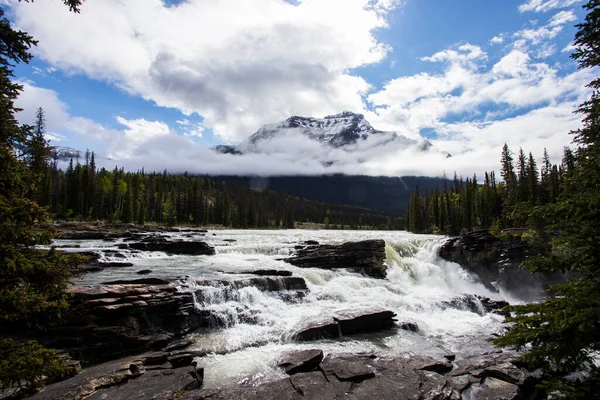 Лето Водопаде Атабаска Национальный Парк Джаспер Канада — стоковое фото