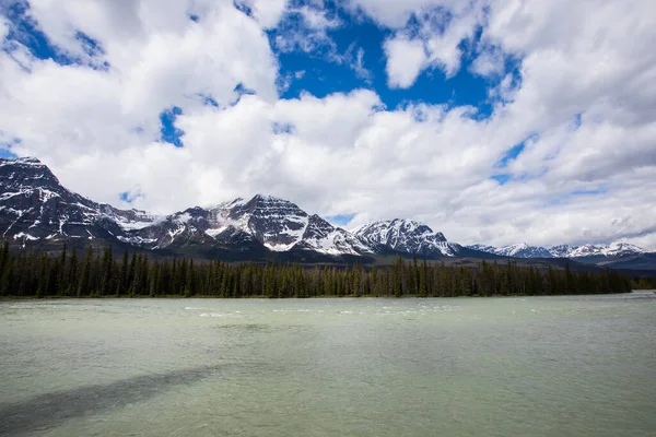 Summer Landscape Jasper National Park Canada — Stock Fotó