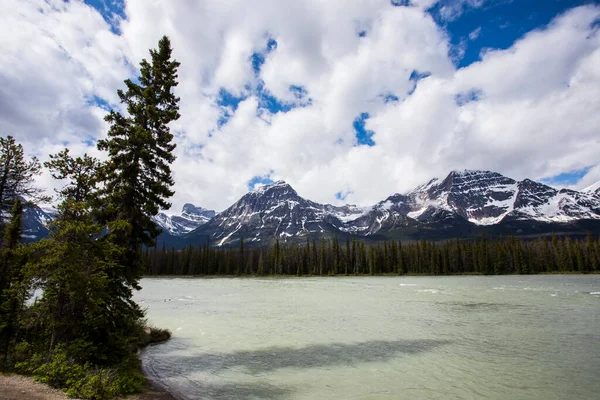 Summer Landscape Jasper National Park Canada — Stock Photo, Image