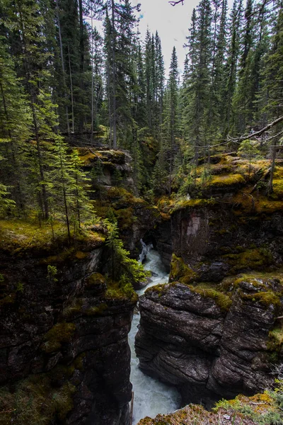 Zomer Landschap Maligne Canyon Jasper National Park Canada — Stockfoto