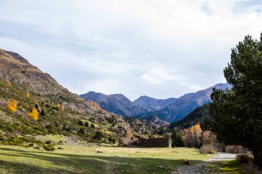 Porte Puymorens, La Cerdanya, Pireneler, Fransa 'da sonbahar manzarası.