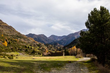 Porte Puymorens, La Cerdanya, Pireneler, Fransa 'da sonbahar manzarası.