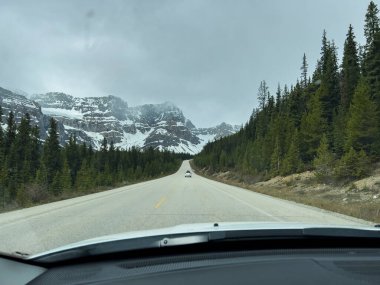 Summer landscape in Banff National Park in Canada