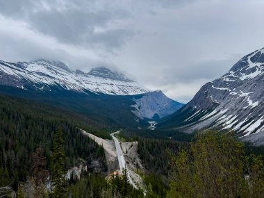 Summer landscape in Banff National Park in Canada