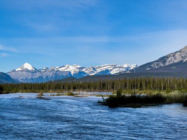 Summer landscape in Banff National Park in Canada