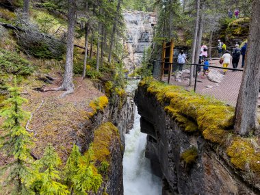 Jasper, Kanada; Haziran 2022: Maligne Canyon 'da yaz manzarası, Kanada' da Jasper Ulusal Parkı
