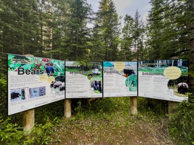 Hinton, Kanada; Haziran 2022: Kanada Ulusal Parklarındaki vahşi yaşamın tehlikeleri hakkında bilgilendirme işaretleri